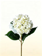 Artificial Hydrangea Single Stem with Leaves, Silk Fake Flowers, Vase Arrangement for Home Decor, Wedding & Party Floral Decoration Product Introduction