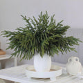 Artificial Norfolk Pine Stems, Real Touch Faux Pine Branches for Christmas & Holiday Home Decor